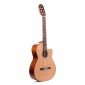 Prudencio Saez 1-CW (50) Guitare Classique