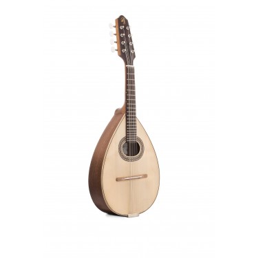 Prudencio Saez Mandolin S