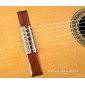 Alhambra Mengual & Margarit Serie NT Classical guitar M & M Serie NT 280 Premium Classical