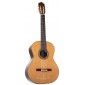 Alhambra Mengual & Margarit Serie NT Classical guitar