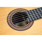 Alhambra Vilaplana Serie NT Guitare Classique