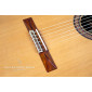 Alhambra Vilaplana Serie NT Guitare Classique