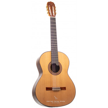 Alhambra JMV Serie NT Classical Guitar