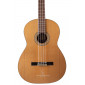 Prudencio Saez B1 Acoustic Bass B1 Other Stringed