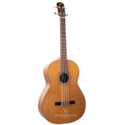 Prudencio Saez B1 basse acoustique.