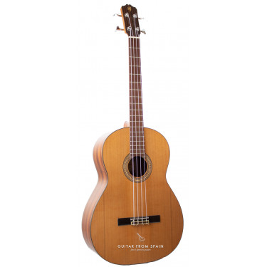 Prudencio Saez B1 basse acoustique.