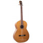 Prudencio Saez B1 basse acoustique.