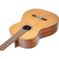 Prudencio Saez B1 Acoustic Bass B1 Other Stringed