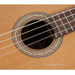 Prudencio Saez B1 Acoustic Bass B1 Other Stringed