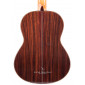 Alhambra Linea Profesional Classical guitar LINEA PROFESIONAL Premium Classical