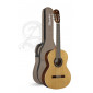 Alhambra 1C HT Hybrid Terra Guitare Classique