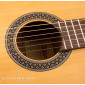 Alhambra 1C HT Hybrid Terra Guitare Classique