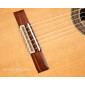 Alhambra JMM Serie C Classical guitar JMM Serie C 250 Premium Classical