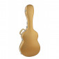 Rapsody Armonia GOLD Standard Classical Guitar Case ACEGCRADUDAU Classical and flamenco