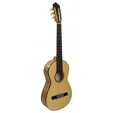 David Duyos Eco-Gitarre mit kurzer Mensur