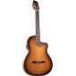 Prudencio Saez SHADOW Electro Classical Guitar