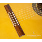 Prudencio Saez 1-FP LH Left handed Flamenco Guitar 1-FP LH left-handed guitars