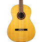 Prudencio Saez B2 Acoustic Bass Cedar B2 Other Stringed