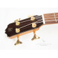 Prudencio Saez B2 Acoustic Bass Cedar B2 Other Stringed