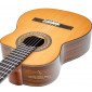 Prudencio Saez 201 Cutaway Requinto