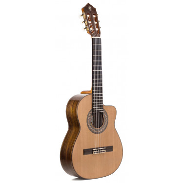 Prudencio Saez 201 Cutaway Requinto