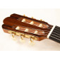 Alhambra Jose Miguel Moreno Serie C guitare classique