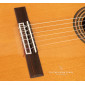 Camps M16 Classical guitar M-16 Premium Classical