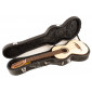 Estuche de guitarra Romantica Raimundo