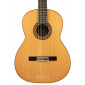 Prudencio Saez 24 Flamenco Negra