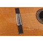 Camps CL20 Classical Guitar CL-20 Premium Classical