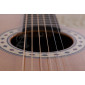 Alhambra CSS3 CW E9 Crossover Acoustic Guitar 8779V Crossover