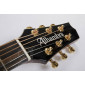 Alhambra CSS3 CW E9 Crossover Acoustic Guitar 8779V Crossover