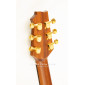 Alhambra Auditorium Model 1272 AA-CSp E9 Acoustic Guitar 1272 AA-CSp E9 Acoustic