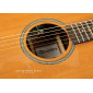 Alhambra Auditorium Model 1272 AA-CSp E9 Acoustic Guitar 1272 AA-CSp E9 Acoustic