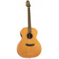 Alhambra Auditorium Model 1272 AA-CSp E9 Acoustic Guitar 1272 AA-CSp E9 Acoustic