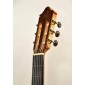 Camps M5S Flamenco guitare