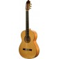 Camps M5S LH Flamenco guitare gaucher