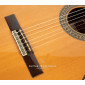 Ramirez CUT 2 MIDI Classical guitar CUT 2 MIDI MIDI Guitars