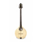 APC IRB 305 Irish Bouzouki