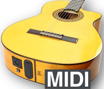 MIDI Guitars